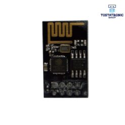 Módulo Wifi Esp8266 Esp-01 Con Relay